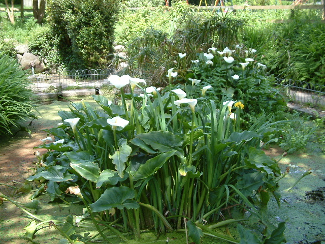 Penlee Memorial Park, Penzance. 28 May 2003.